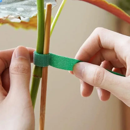 20/2 m Nylon-Pflanzenbinder, Pflanzenverband, Hakenschlaufe, verstellbare Pflanzenunterstützung, wiederverwendbares Verschlussband für Hausgarten-Zubehör