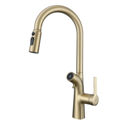 VGX Wasserfilter, Küchenarmatur, Doppelauslauf, reiner Trinkwasserhahn, herausziehbarer Küchenspüle, Mixer, Küche, Gourmet-Wasserhahn, Kran, Gold