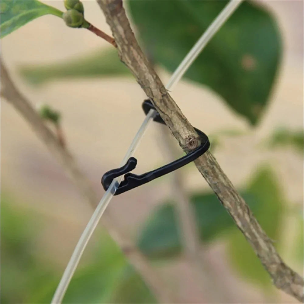 Ranken Verschluss Kunststoff gebundene Schnalle Haken Gartenarbeit Trauben Unterstützung Gemüse Umreifung Clips feste Schnalle Haken Pflanzenhalter