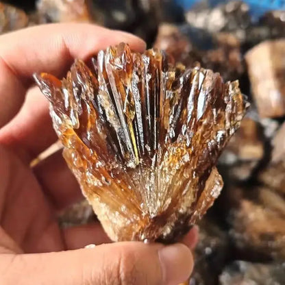 Natürliche gelbe Bernstein-Calcit-Rohsteinkristalle, Cluster-Edelstein-Kollektion grober Mineralproben, Heilkristall, 1 Stück