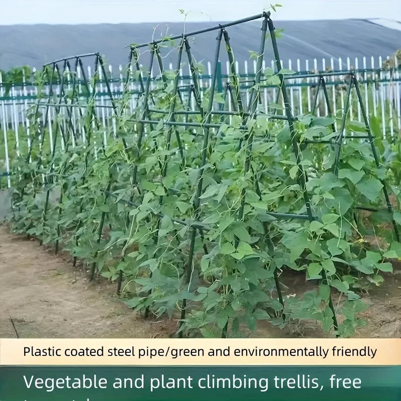 20-teilige Mehrzweck-Garten pfähle-dauerhafte Unterstützung für Gemüse, Reben und Trauben-perfekt für Tomaten, Gurken und mehr