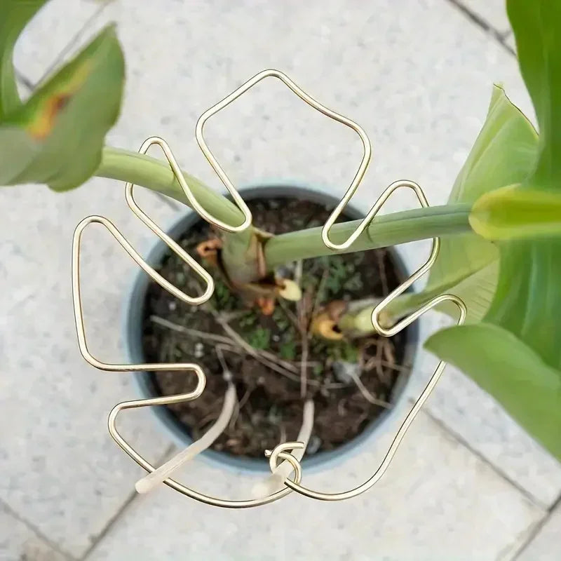 1/3/5 Stück Monstera-Pflanzenpfähle, vertikale Wachstumsstammunterstützung für Gartenpflanzen im Innen- und Außenbereich, Zubehör, Werkzeuge