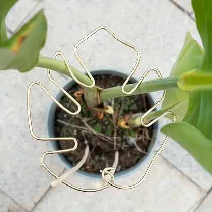 1/3/5 Stück Monstera-Pflanzenpfähle, vertikale Wachstumsstammunterstützung für Gartenpflanzen im Innen- und Außenbereich, Zubehör, Werkzeuge