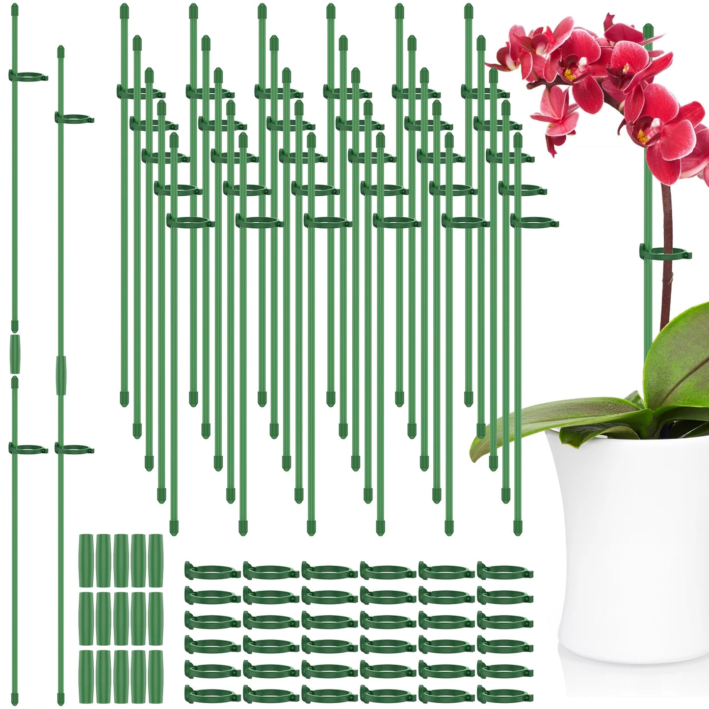 20/30Pcs Anlage Unterstützt Stakes Blume Ständer Sticks Garten Einzigen Stem Blume Unterstützung Stake Bonsai Befestigungs Werkzeug Blume wachsen Halter