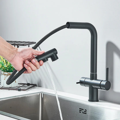 Rozin Wasserreiniger, Küchenarmatur, Schwarz, herausziehbarer flexibler Filter, Küchenarmaturen, Kran, Messing, 2-in-1-Mischbatterie für heißes und kaltes Wasser