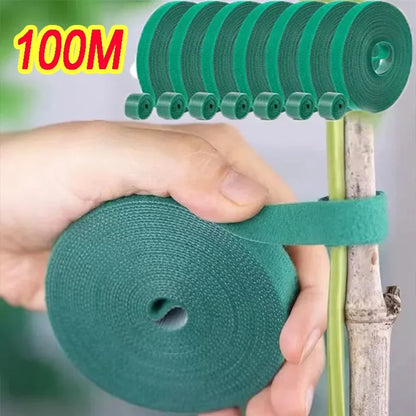 Selbst klebende Pflanze Nylon Kabelbinder grün verstellbare Pflanzen Hakens ch laufe Unterstützung Garten garn Bandage wieder verwendbare Befestigungs bandst reifen