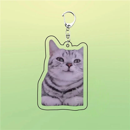 Huh Katzen-Schlüsselanhänger, Meme-Schlüsselanhänger, Fanny-Katze, Schlüsselanhänger, sprechende Katzen, verwirrte Katze, Anhänger, süßes Geschenk