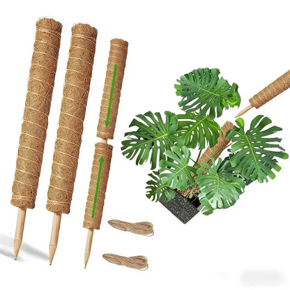 2-4er-Pack Grüne Radieschen-Efeu-Kletterhilfe aus natürlicher Kokosnuss-Moos-Schale für Zimmerpflanzen, stapelbare Rankhilfe zur Unterstützung von Grünpflanzen
