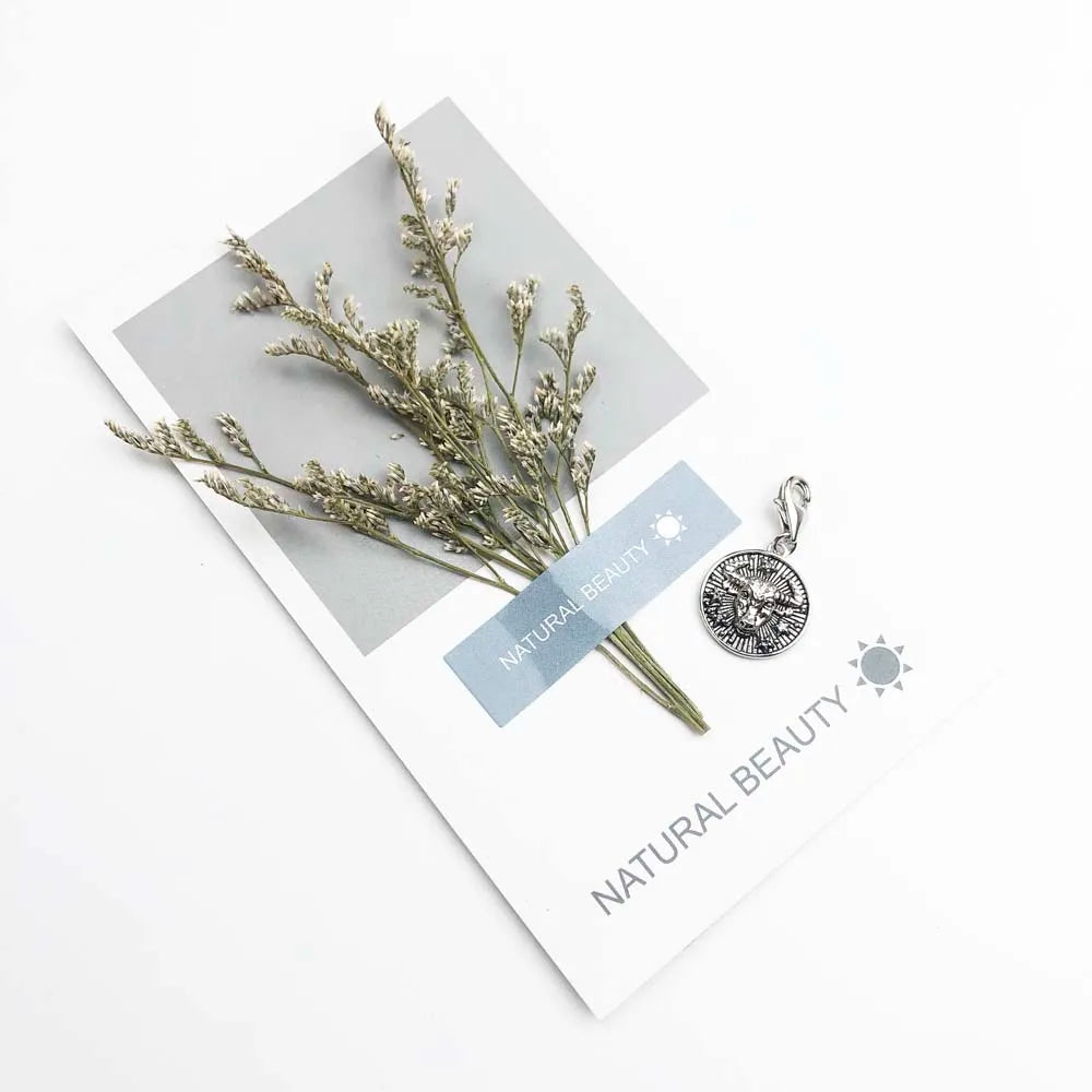 Charm-Anhänger Widder Stier Zwillinge Krebs Löwe Jungfrau Waage Skorpion Sgr Cap Aqu Fische Sternzeichen Vintage Geschenk 925er Sterlingsilber