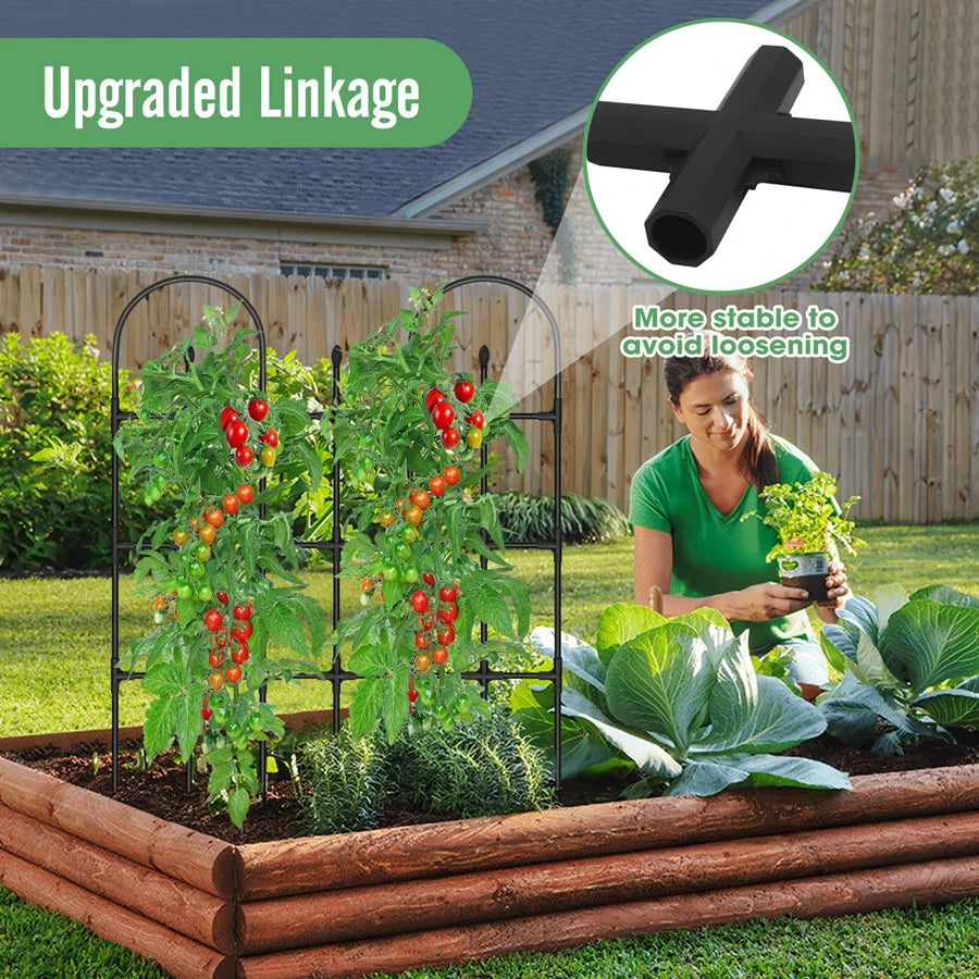 Gartenzaun, Drahtgeflecht, Gartennetz, Ausrüstung, Gartengebäude, Zubehör, gespleißbare Pflanzenrebe, Spalier, Rosenblüten-Spalier
