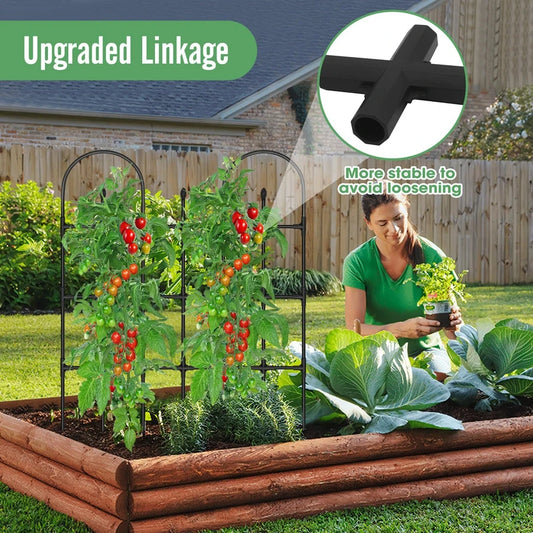 Gartenzaun, Drahtgeflecht, Gartennetz, Ausrüstung, Gartengebäude, Zubehör, gespleißbare Pflanzenrebe, Spalier, Rosenblüten-Spalier