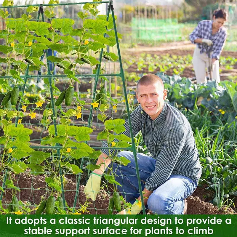 Garten-A-Rahmen-Pflanzenklettergerüst-Set: Rostfreie Rankhilfen für Gemüse, Gurken, Tomaten und Weinreben