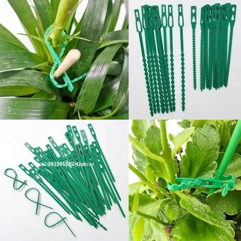 Verstellbare Kunststoff-Pflanzenkabelbinder, wiederverwendbare selbstsichernde Kabelbinder, Gartenpflanzenrebe, unterstützt Kabelbinder, Stiel, Tomaten-Clip-Verschluss