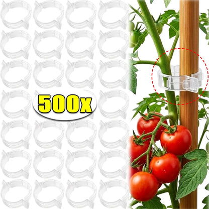 Wiederverwendbare Pflanzenstützklammern für Tomaten, Weinreben und Blumenstiele – Rankhilfen und Gartenveredelungswerkzeuge