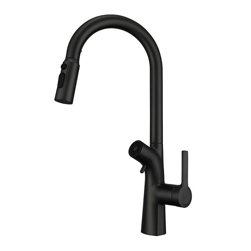 VGX Gold Wasserfilter Küchenarmatur mit Doppelauslauf, Reines Trinkwasser, Ausziehbarer Spültischmischer, Gourmet-Küchenarmatur