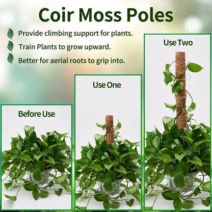 Pflanzenmoos Kokosfaser-Stäbe Biegbare Kletterpflanzen-Stütze Verlängerung Palmenranken-Stäbe für Innenbereich Balkon Garten Hof Blumendekoration