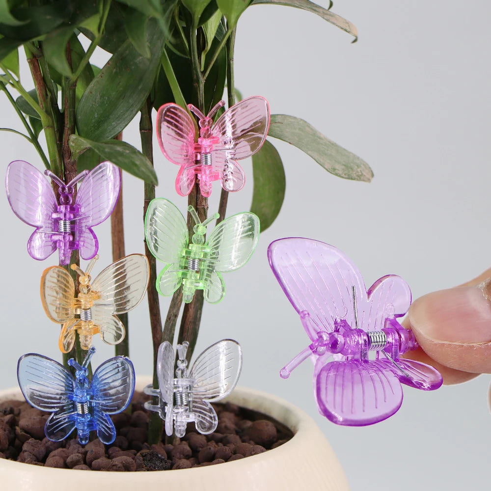 100 stücke Kunststoff-Pflanzen clips im Schmetterlings stil mit 4-Klauen-Orchideenblüten unterstützen Klammern, die den gebundenen Bündel zweig des Weinreben stiel verschlusses erklimmen