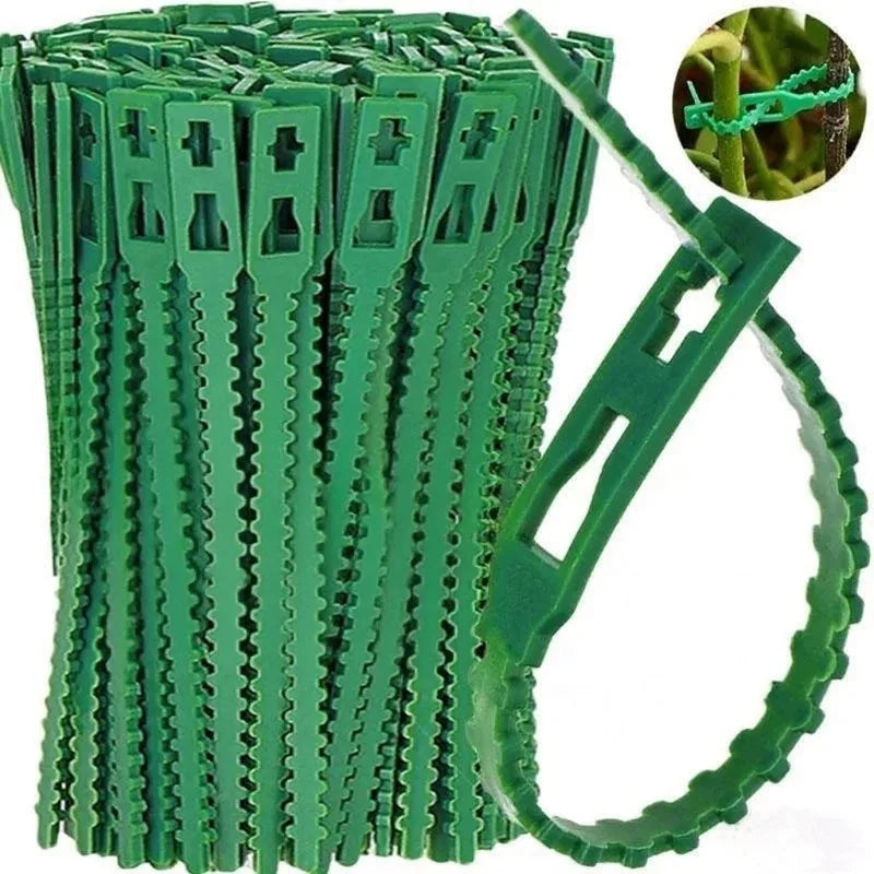 50–1000 Stück verstellbare Kunststoff-Pflanzenkabelbinder, wiederverwendbare Kabelbinder für Garten, Baumklettern, Unterstützung für Pflanzenreben, Tomaten-Stiel-Clip