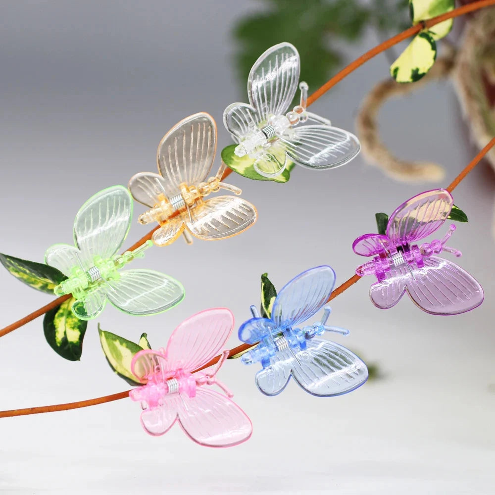 100 stücke Kunststoff-Pflanzen clips im Schmetterlings stil mit 4-Klauen-Orchideenblüten unterstützen Klammern, die den gebundenen Bündel zweig des Weinreben stiel verschlusses erklimmen
