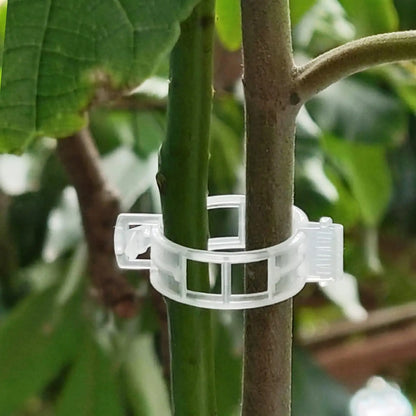 Wiederverwendbare Pflanzenstützklammern für Tomaten, Weinreben und Blumenstiele – Rankhilfen und Gartenveredelungswerkzeuge