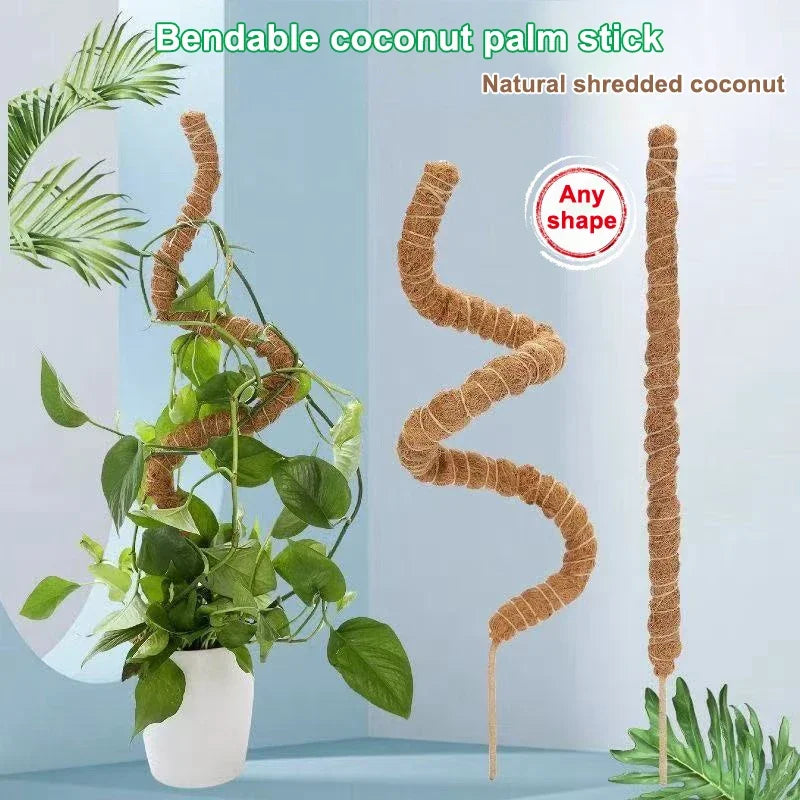 Hochwertige Monstera-Moosstangen, Biegbare Kletterpflanzen-Stützen, Indoor-Kokosfaser-Unterstützung, Garten-Rankhilfe für Alle Pflanzenarten