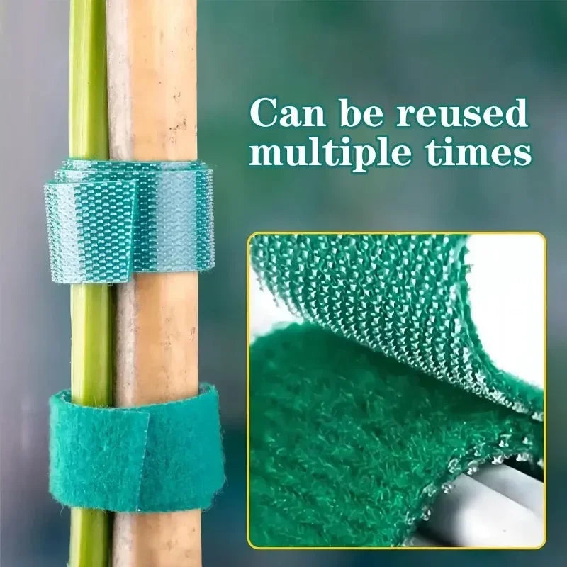 Einstellbare 100/2M Selbstklebende Pflanzen Nylon Krawatten Grüne Pflanze Verband Garten Haken Schleife Bambus Cane Wrap Unterstützung garten Liefert