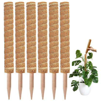 5/10 Stück Pflanzen-Moos-Coir-Stange, Kletterhilfe für Pflanzen, Verlängerung für Palmenranken, Stab für Innenbereich, Balkon, Garten, Hof, Blumendekoration