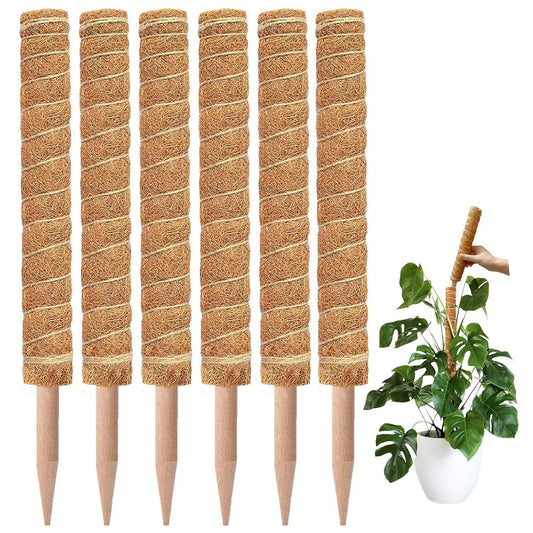 5/10 Stück Pflanzen-Moos-Coir-Stange, Kletterhilfe für Pflanzen, Verlängerung für Palmenranken, Stab für Innenbereich, Balkon, Garten, Hof, Blumendekoration