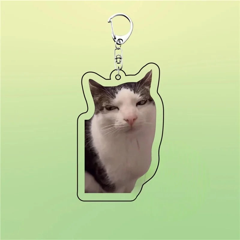 Huh Katzen-Schlüsselanhänger, Meme-Schlüsselanhänger, Fanny-Katze, Schlüsselanhänger, sprechende Katzen, verwirrte Katze, Anhänger, süßes Geschenk