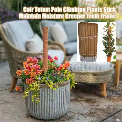 5/10 Stück Pflanzen-Moos-Coir-Stange, Kletterhilfe für Pflanzen, Verlängerung für Palmenranken, Stab für Innenbereich, Balkon, Garten, Hof, Blumendekoration