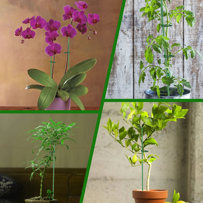 20/30Pcs Anlage Unterstützt Stakes Blume Ständer Sticks Garten Einzigen Stem Blume Unterstützung Stake Bonsai Befestigungs Werkzeug Blume wachsen Halter