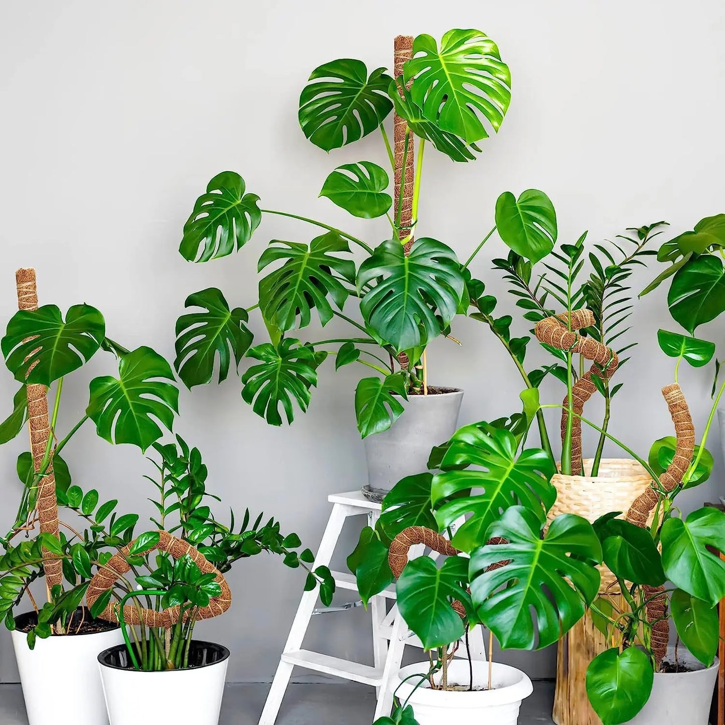Pflanzenmoos Kokosfaser-Stäbe Biegbare Kletterpflanzen-Stütze Verlängerung Palmenranken-Stäbe für Innenbereich Balkon Garten Hof Blumendekoration