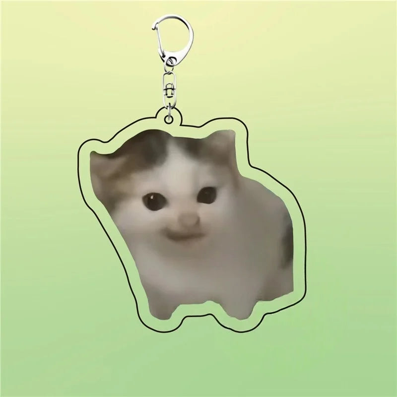 Huh Katzen-Schlüsselanhänger, Meme-Schlüsselanhänger, Fanny-Katze, Schlüsselanhänger, sprechende Katzen, verwirrte Katze, Anhänger, süßes Geschenk