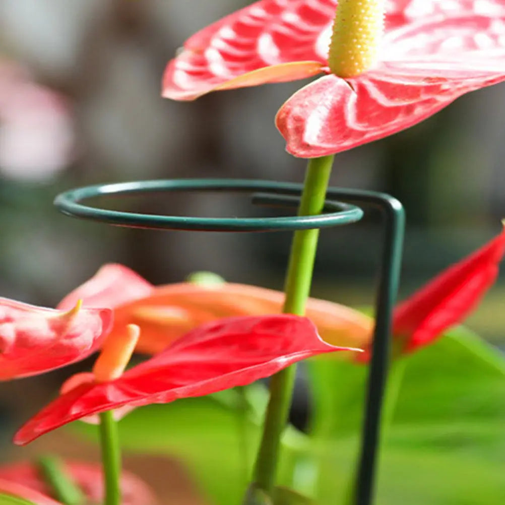 5 Stück Eisen-Kunst-Pflanzenstützen, Einzelstiel-Blumenstützen für Rosen, Orchideen, Pfingstrosen, Tulpen, Tomaten, Gemüse und Gartenarbeit