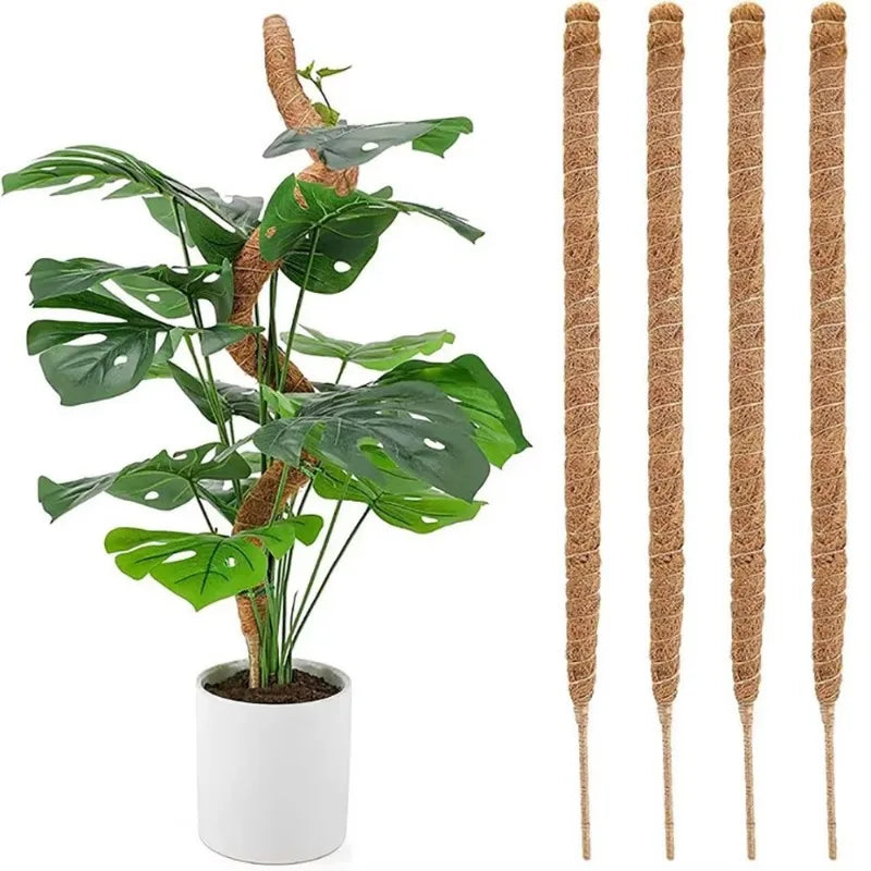 Biegbare Kokosfaser-Moosstange Pflanzenkäfig Erstklassige Neue Kletterstütze-Erweiterung für Monstera zum Aufwärtswachsen