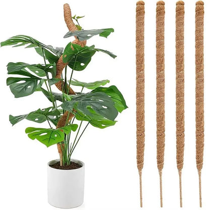 Biegbare Kokosfaser-Moosstange Pflanzenkäfig Erstklassige Neue Kletterstütze-Erweiterung für Monstera zum Aufwärtswachsen