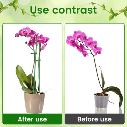 20/30Pcs Anlage Unterstützt Stakes Blume Ständer Sticks Garten Einzigen Stem Blume Unterstützung Stake Bonsai Befestigungs Werkzeug Blume wachsen Halter