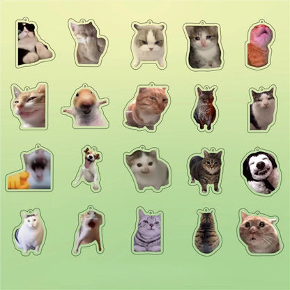 Huh Katzen-Schlüsselanhänger, Meme-Schlüsselanhänger, Fanny-Katze, Schlüsselanhänger, sprechende Katzen, verwirrte Katze, Anhänger, süßes Geschenk