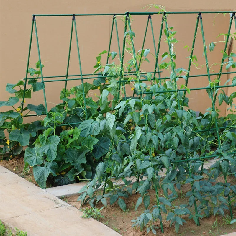 Klettergerüst-Set für den Garten, A-Rahmen, Gemüse, Pflanzen, wachsen, unterstützt passend, Klettern, rostfrei, Rebe, Gurke, Spalier, Tomaten, Trauben