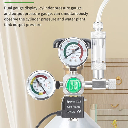CO2-Zylinderflasche 1L mit Regler, Magnetventil, Sauerstoffgenerator für Aquarien, DIY-Blasenzähler-Steuerungssystem