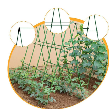 Langlebige Gartenpfähle für Kletterpflanzen, Rankenstützstab, unverzichtbar für Tomaten, Trauben, Gurken, Passionsfrucht