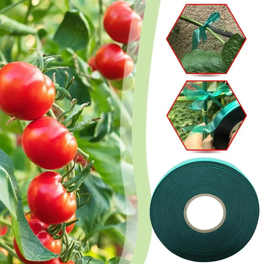 PVC Pflanzen Unterstützung Band Anlage Befestigung Kabelbinder Für Garten Pflanzen Haken Schleife Gartenbau Riemen Liefert Garten Zubehör