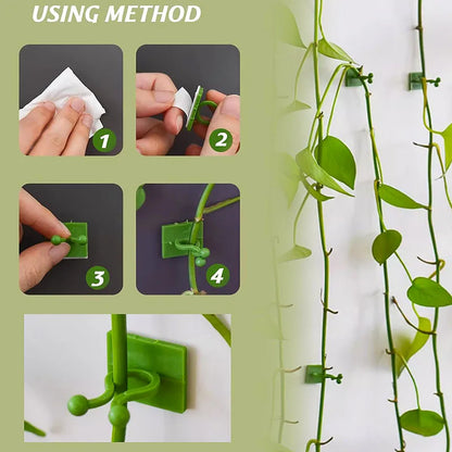 10/30/50Pcs-Home Garten Pflanze Klettern Wand Halterung Clips Rattan Reben Fixer Selbst-Kleber anlage Klettern Wand Feste Schnalle Haken