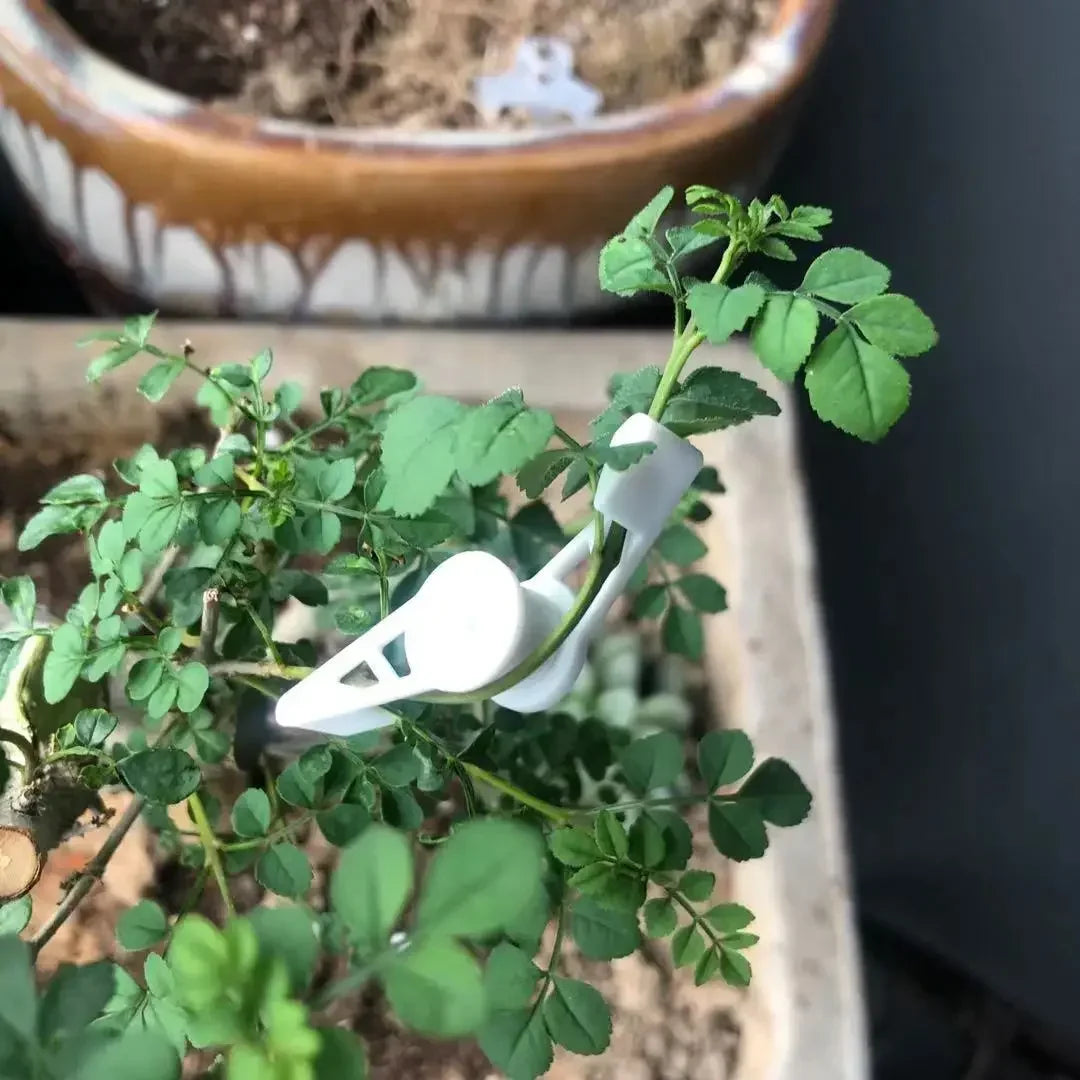 Pflanzenzweige-Biegemaschine, 360 Grad verstellbar, Pflanzenbieger-Clip für niedrige Stress, Pflanzentraining, Gartenhalter, Gartenbedarf