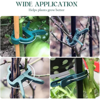 Rattan-Pflanzenstützclips Garten-Pflanzenclips Halter für Pflanzenstiele Mehrzweck-Pflanzenclips Robuste Gurkenclips Pflanzenstütze