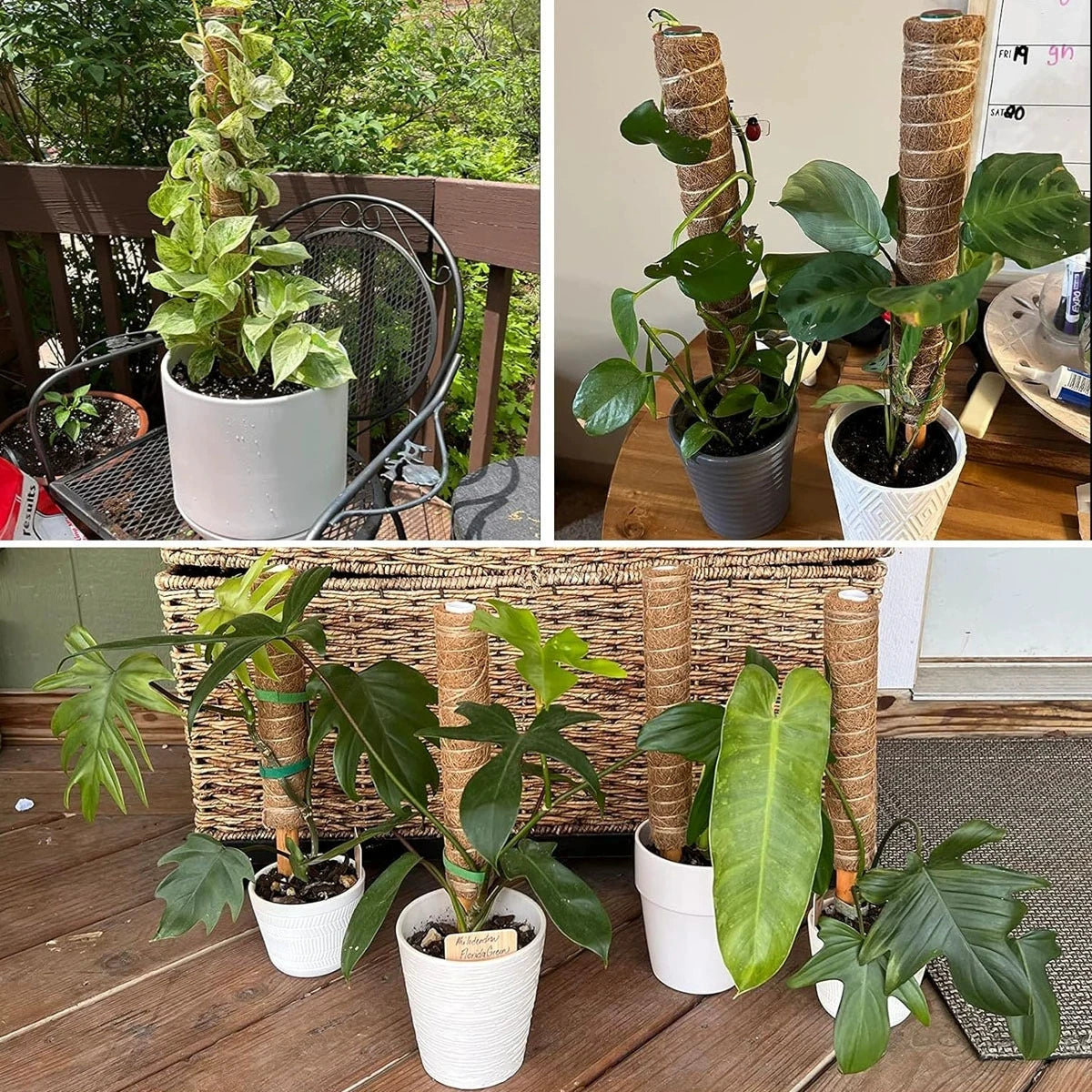 5/10 Stück Pflanzen-Moos-Coir-Stange, Kletterhilfe für Pflanzen, Verlängerung für Palmenranken, Stab für Innenbereich, Balkon, Garten, Hof, Blumendekoration