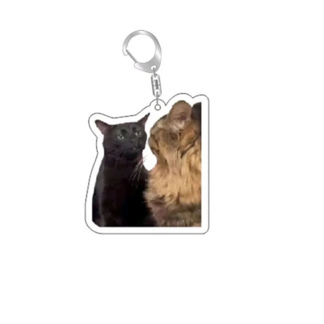 Huh Katzen-Schlüsselanhänger, Meme-Schlüsselanhänger, Fanny-Katze, Schlüsselanhänger, sprechende Katzen, verwirrte Katze, Anhänger, süßes Geschenk