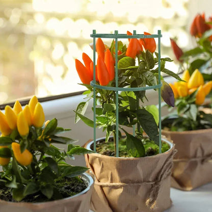 Kunststoff-Pflanzenstützpfahl, Pflanzenstütze für Blumen, Gewächshäuser, Arrangements, Fixierstabhalter, Gartengeräte