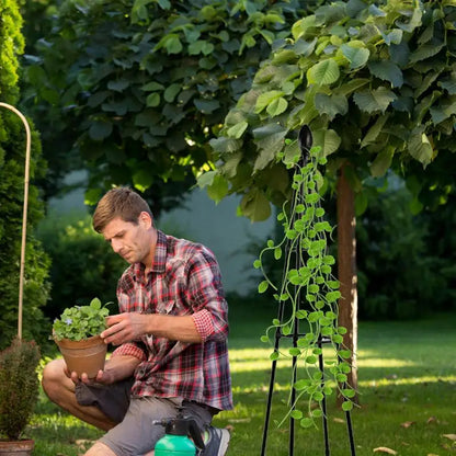 Garten Klettern Reben Blumen Steht Spalier Anlage Unterstützung Klettern Pflanzen Gitter Rose Pflanze Balkon Klettern Halterung Für Anlage