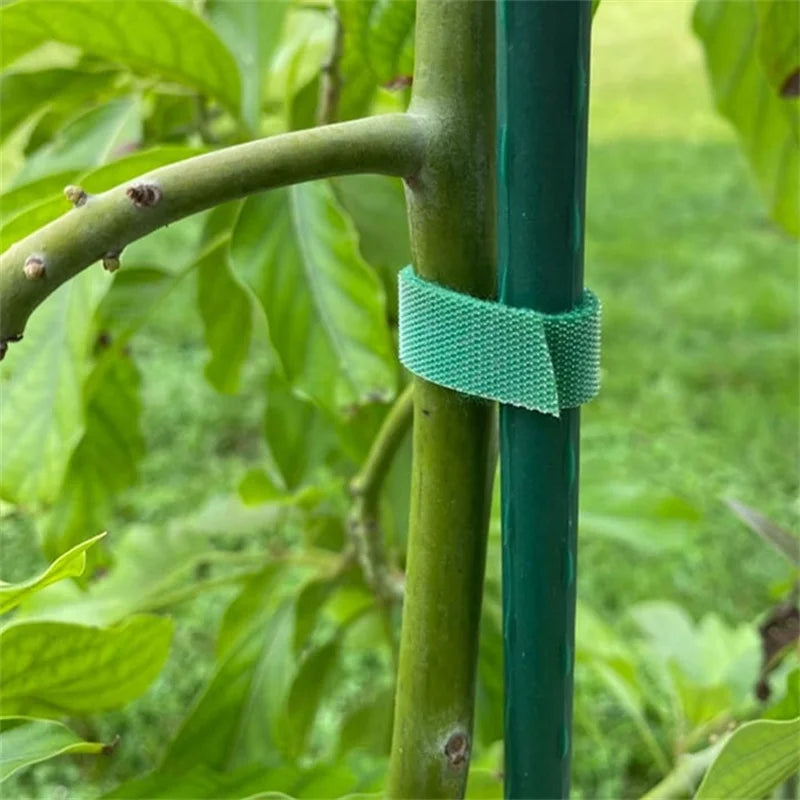 1/2/5 Rollen 10 m grüne Gartenschnur Pflanzenbinder Nylon Pflanzenverband Garten Hakenschlaufe Bambusrohr Wrap Unterstützung Gartenzubehör